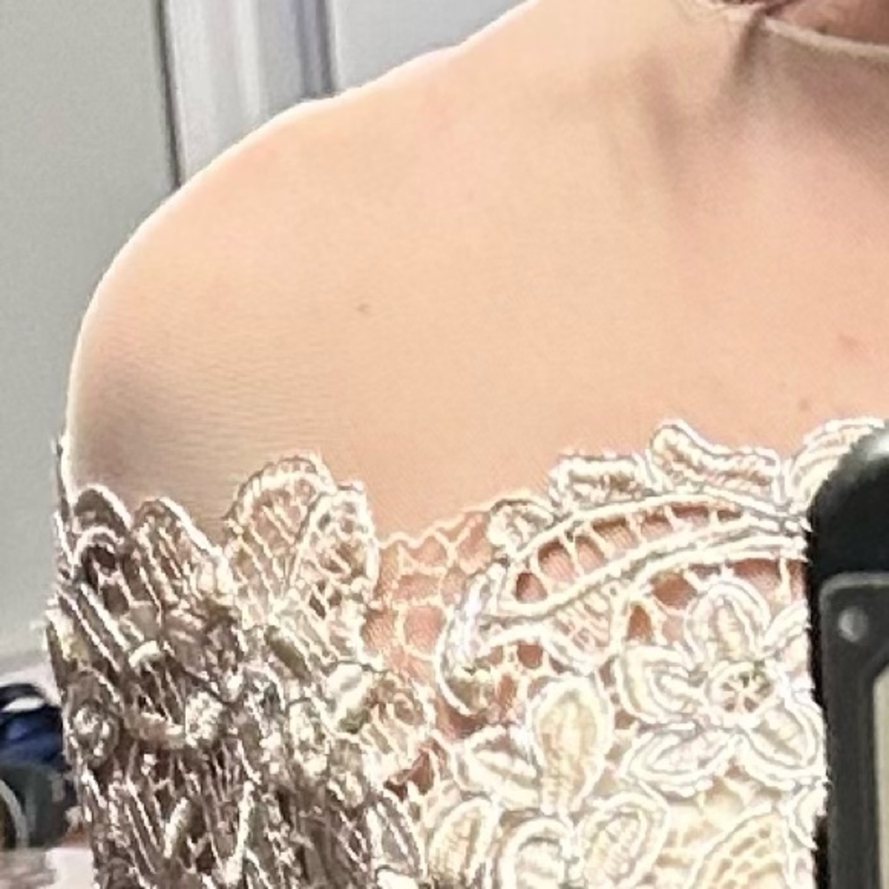Teri Jon Lace Dress - Picture 2 of 3
